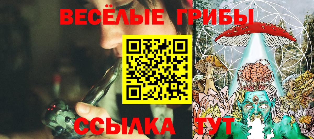 Псилоцибиновые грибы Psilocybine cubensis  Псилоцибиновые грибы Psilocybine cubensis  Вход с VPN  Донской 