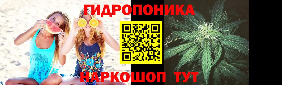 Каннабис Ganja  Шишки марихуана марихуана  Конопля White Widow  Бошки Шишки планчик  Вход с VPN  Донской 